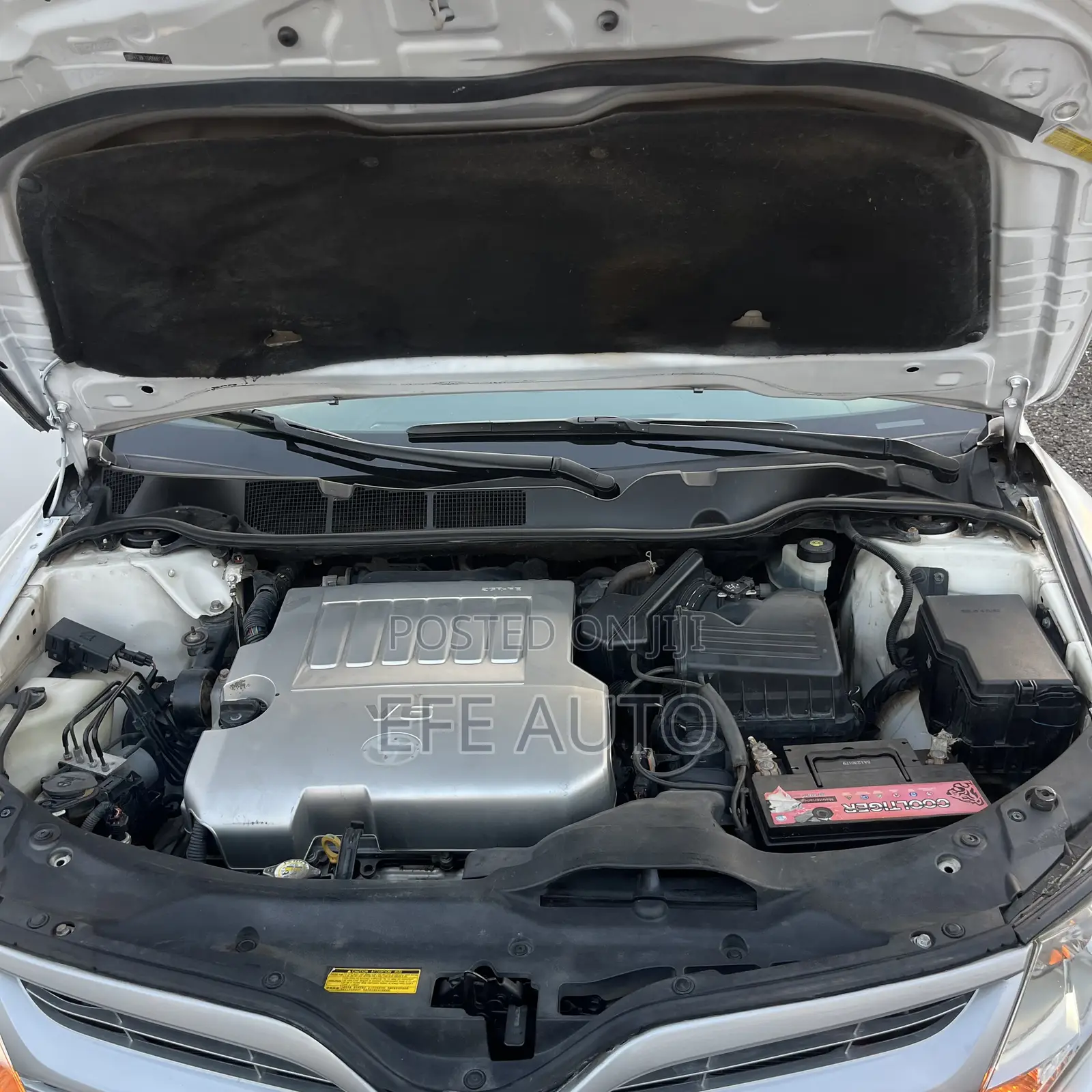 Toyota Venza 2010 White