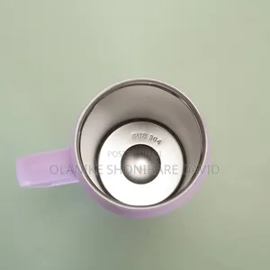 Insulated Water Cup With Straw