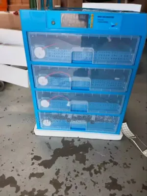 256 Eggs Incubator (Automatic)
