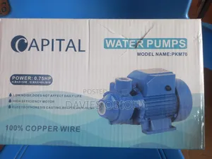 0.75hp Capital Surface Pump