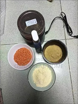 Electric Dry Grinder Spices Grinder