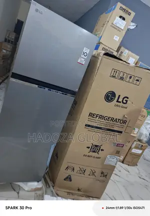 Lg 260l Cooling Appliance In Platinum Silver