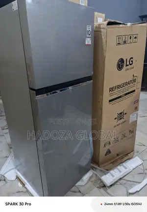 Platinum Silver Lg Fridge, 260l Storage