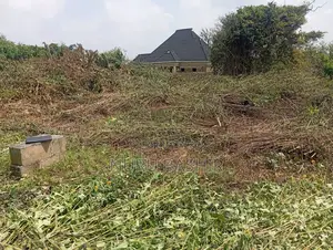 One and Half Plot of Land
