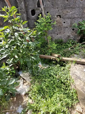 Plots of Land 4 Sale Ikeja Gra