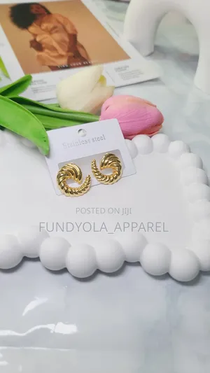 Spiral Stainless Steel Earrings