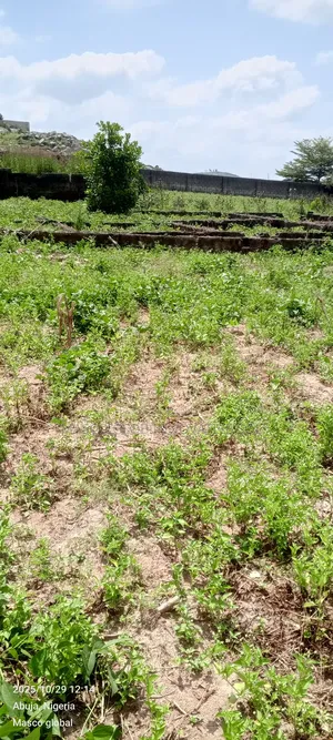 3000sqm Residential Plot for Sale in Airport Road Abuja