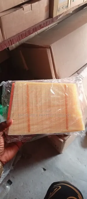 Range Rover Evoque Air Filter