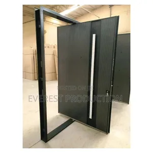 Pivote Security Door