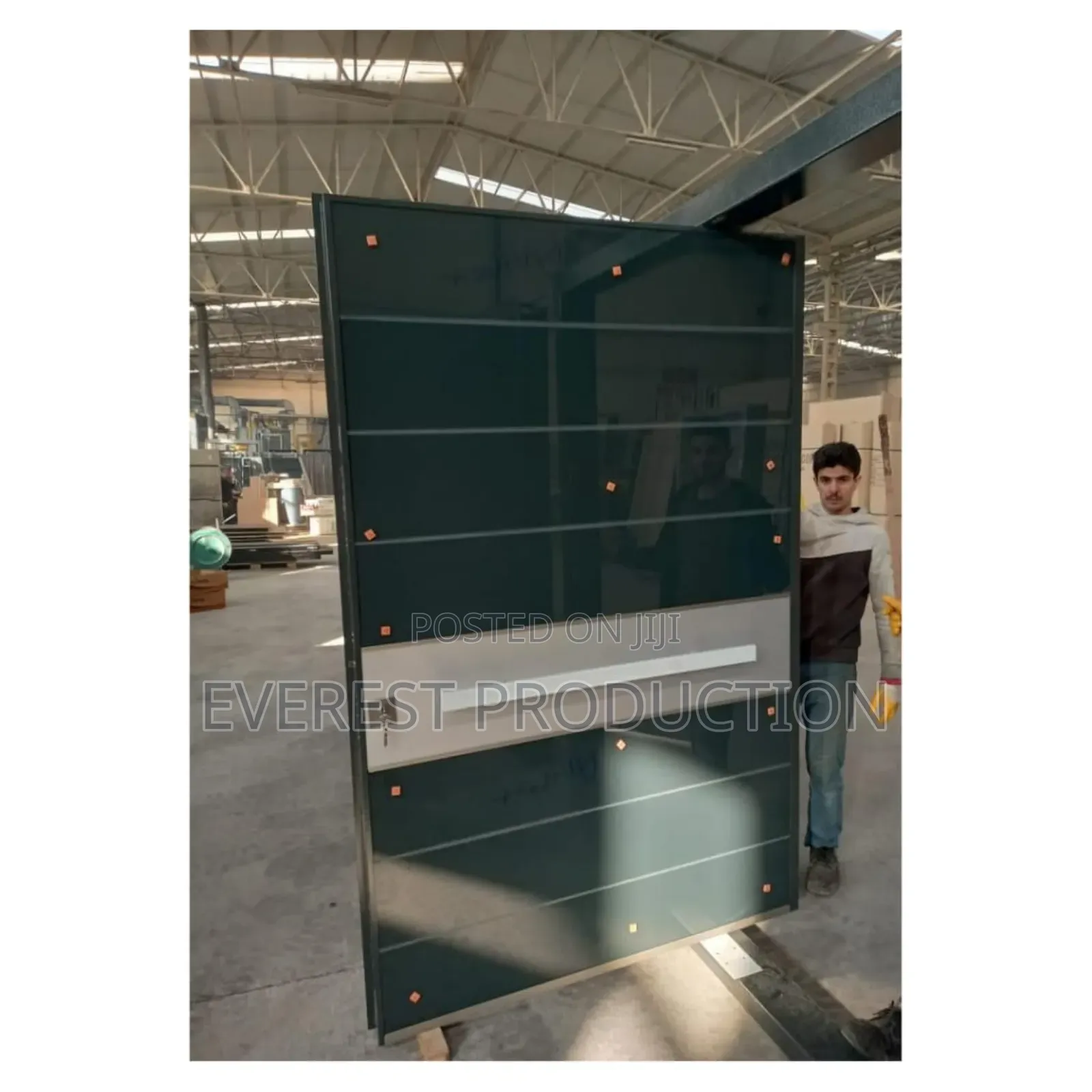 Pivote Security Door