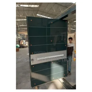 Pivote Security Door