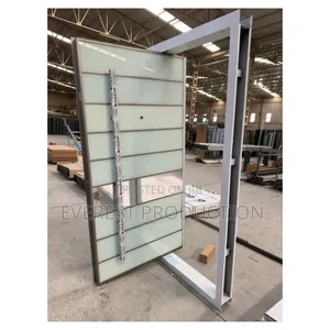 Pivote Security Door