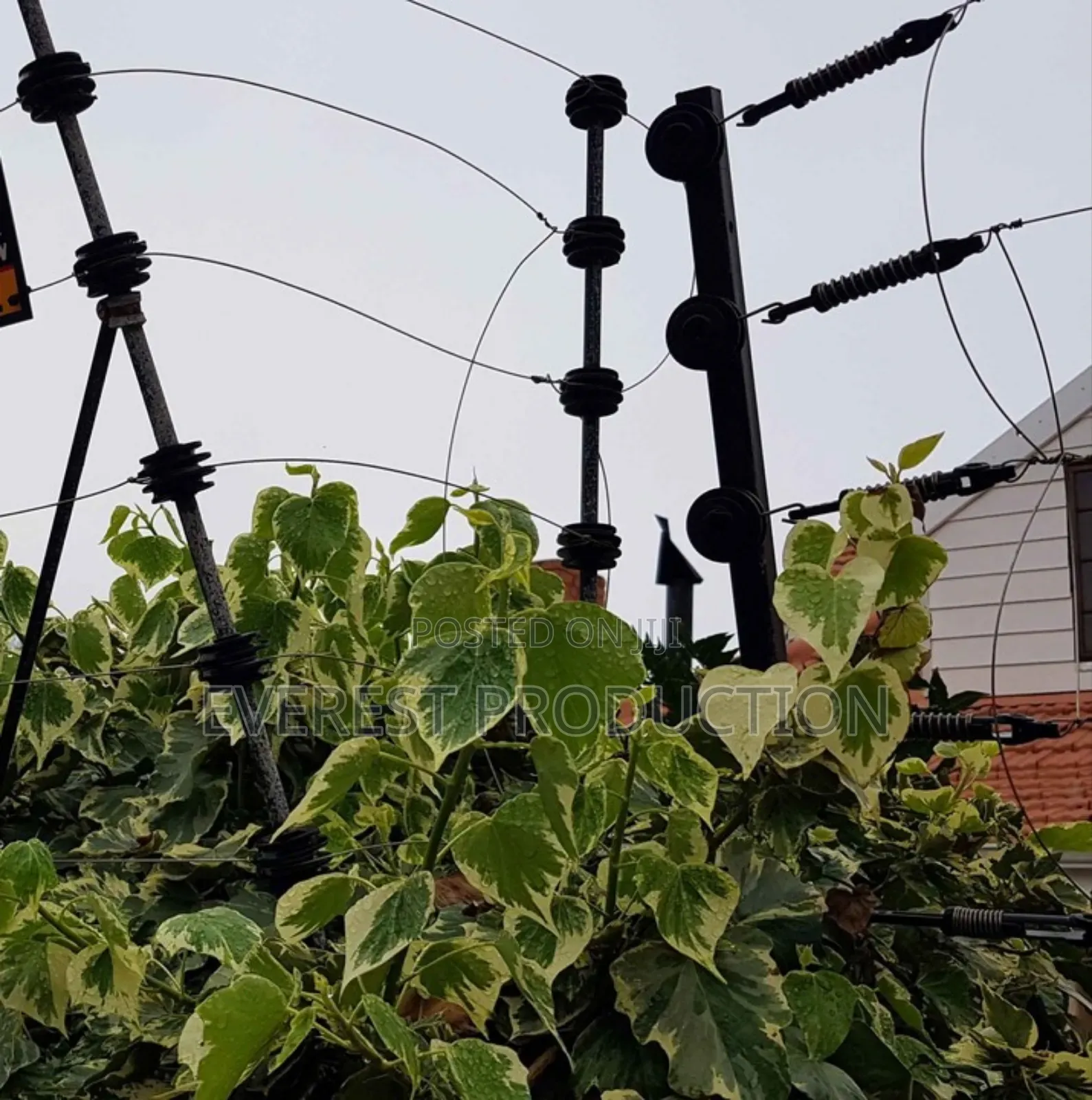 Electric Fence