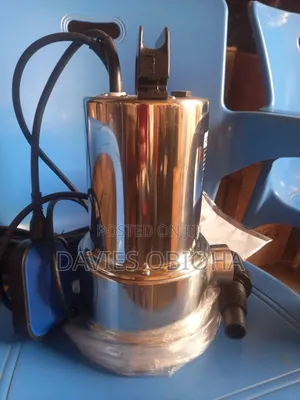 1hp Access Stainless Fountain/ Sewage Pump