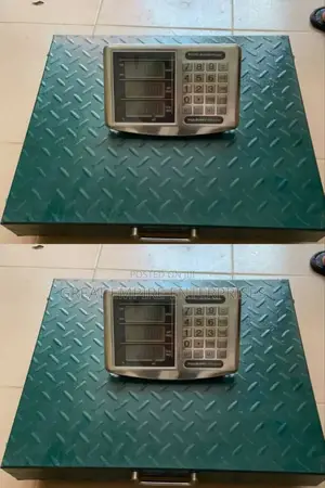 300kg Wireless Scale