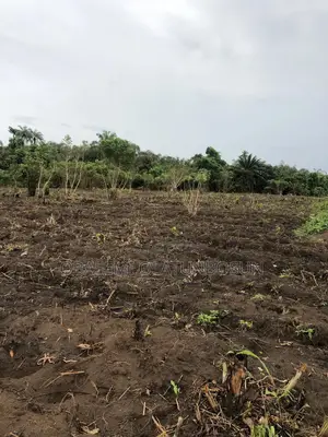 Promo!! Per Acre of Land at Ibefun Itokin Ogun State Farming Now
