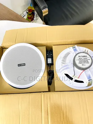 Tundra 2in1 Bluetooth Ceiling Speaker