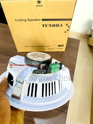 Tundra Bluetooth Ceiling Speaker