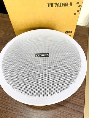 Single Tundra Bluetooth Ceiling Speaker