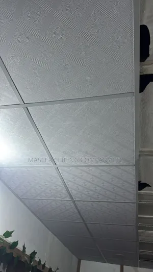 Suspended Ceiling