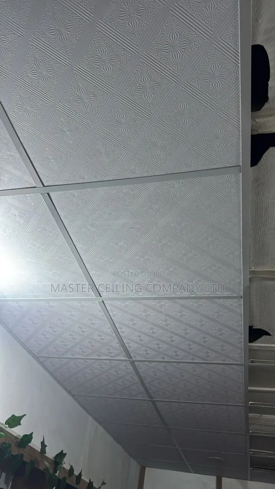 Suspended Ceiling