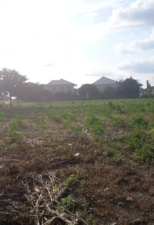 3000sqm Residential Plot for Sale in Aco Estate Airport Road Abuja