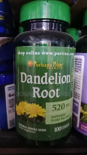 Dandelion Root 520mg X 100 Caplets