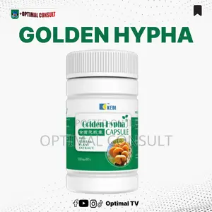 Kedi Golden Hypa [Small]