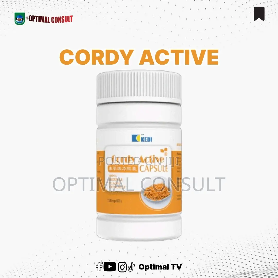Kedi Cordy Active [Small]