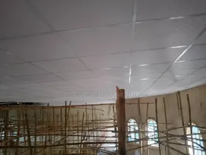 Pop Gypsum Ceiling