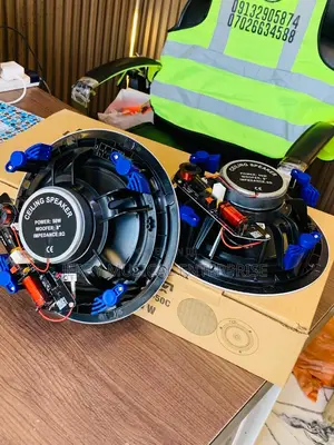 50watts Framless Passive Ceiling/Pop Speakers