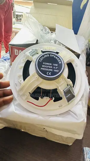 10watts Passive Speakers With Woofer