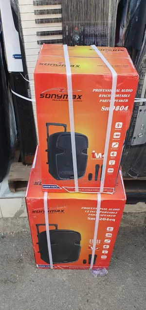 Sonymax Pa System 12"
