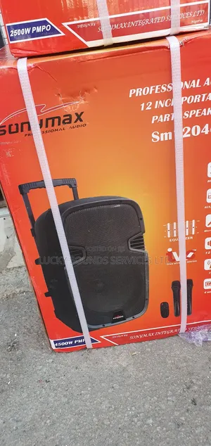 Sonymax Pa System 12"