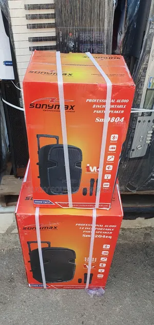 Sonymax Pa System 12"