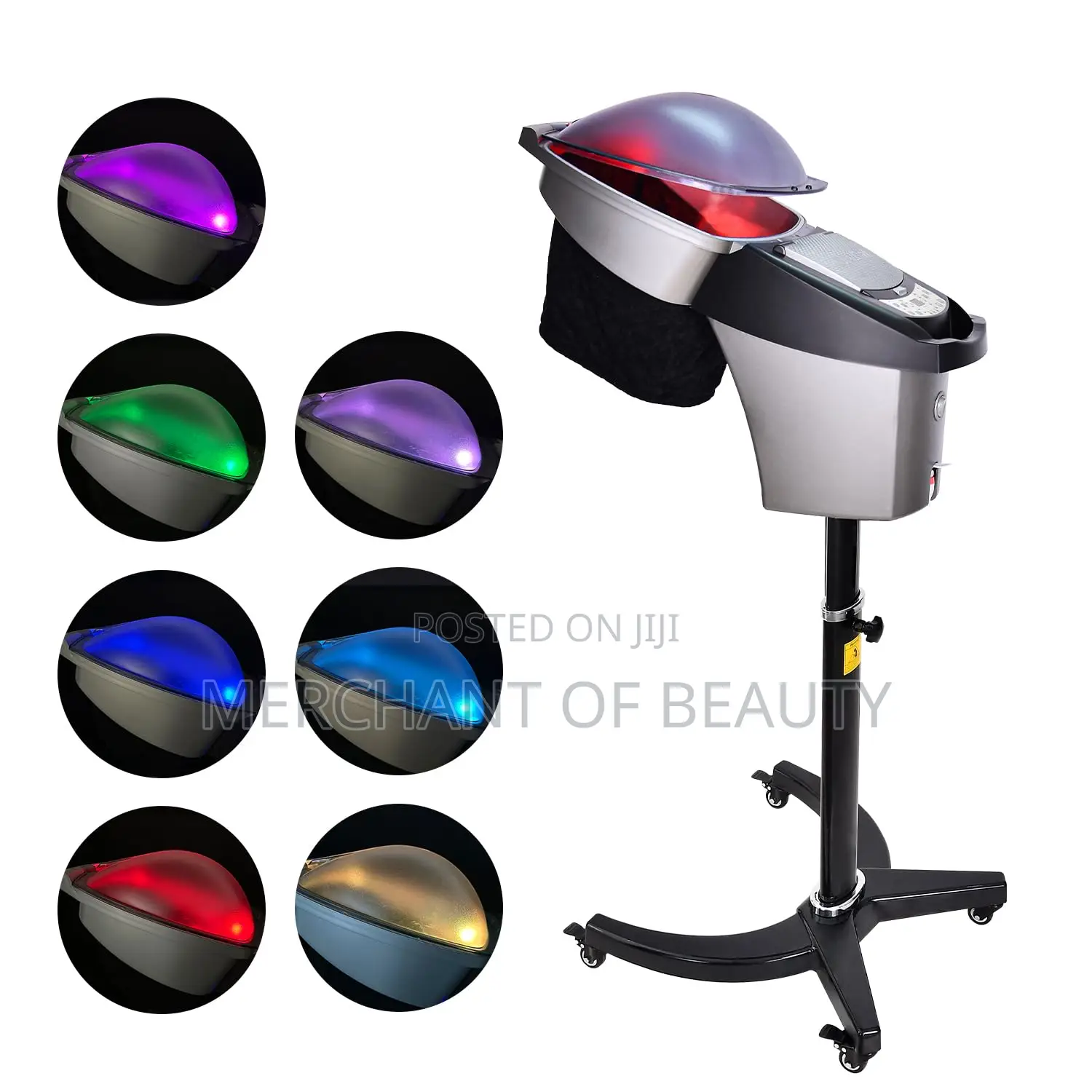 Micromist Hair Steamer