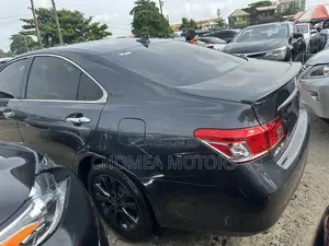 Lexus ES 350 2010 Gray