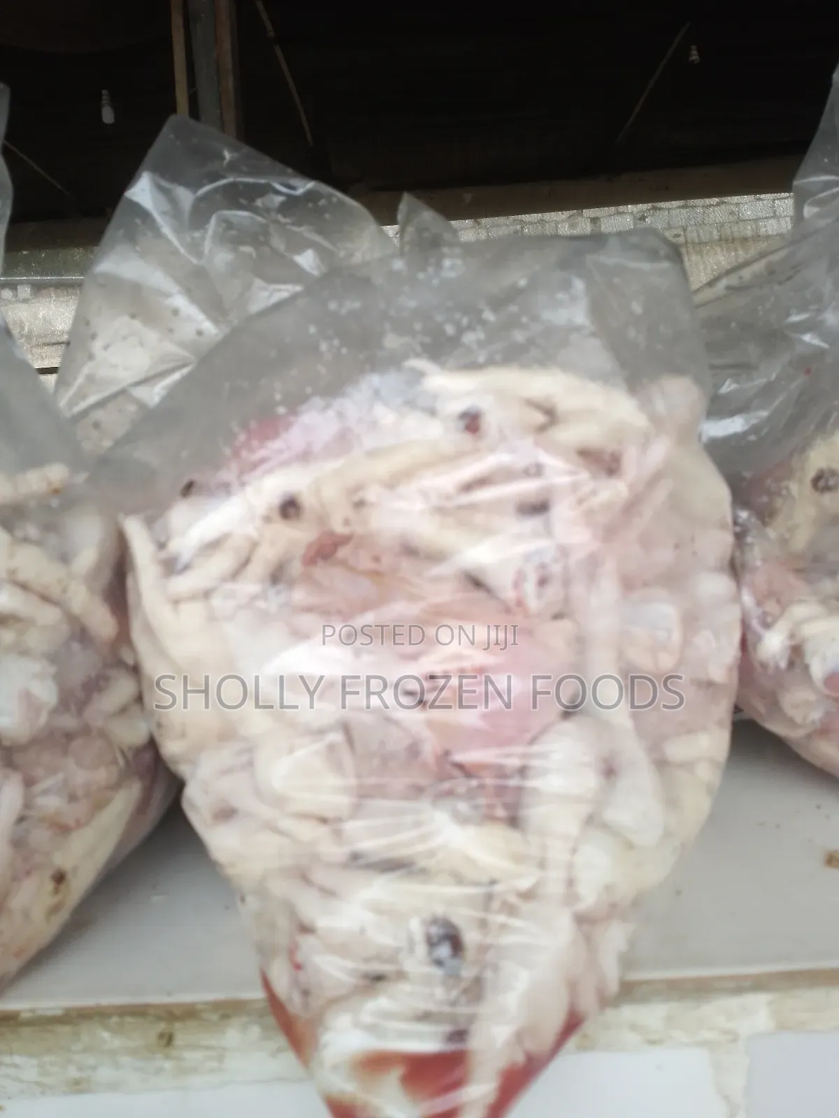 Chickens Available in Tons and Kg