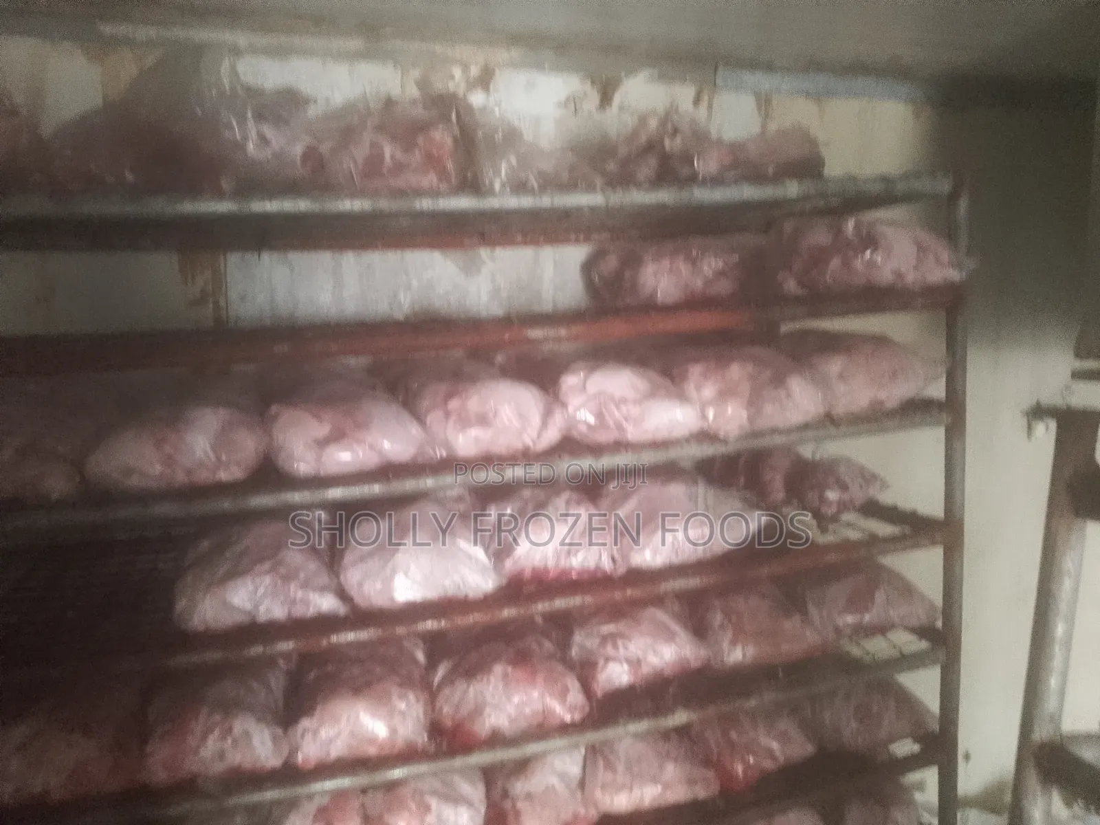 Chickens Available in Tons and Kg