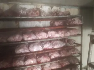 Chickens Available in Tons and Kg