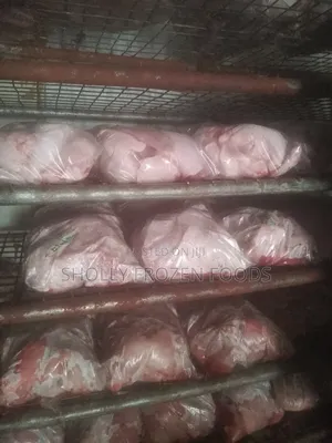 Chickens Available in Tons and Kg