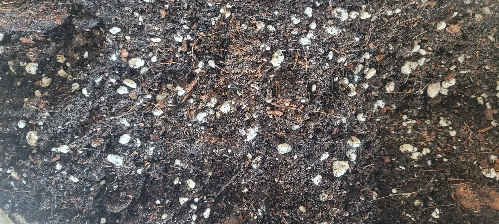 Premium Potting Soil