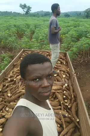 Farming Consultant