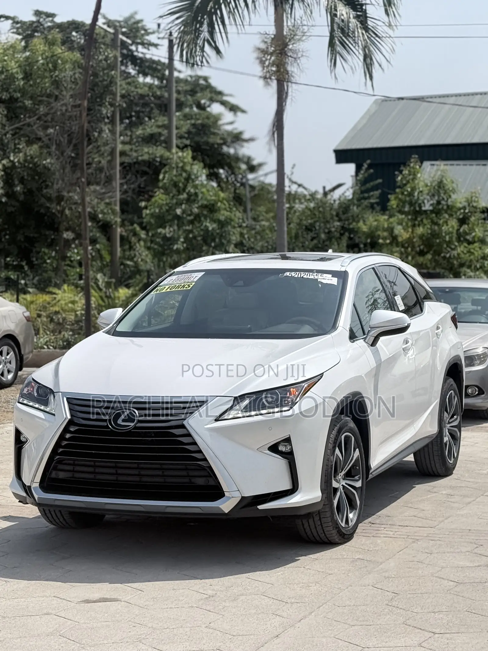 Lexus RX 2019 White