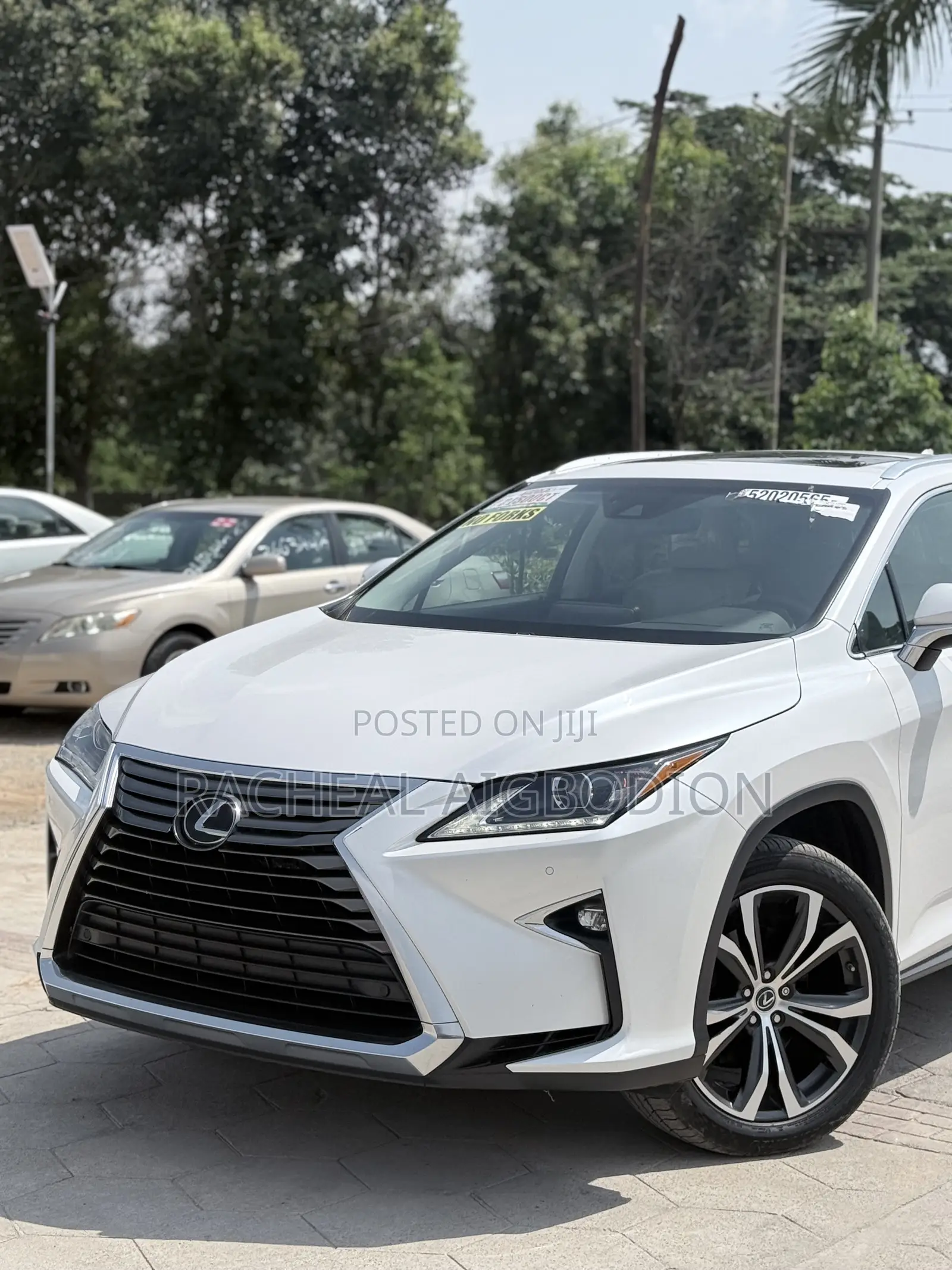 Lexus RX 2019 White