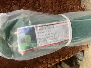 Scaffolding Safety Net