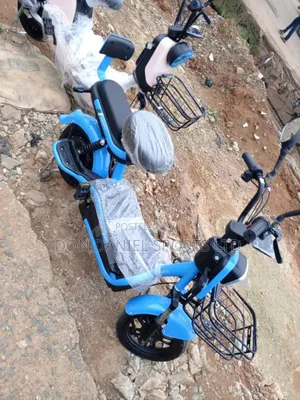 Electric Bike