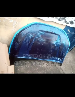 2019-2020 Ford Edge Bonnet