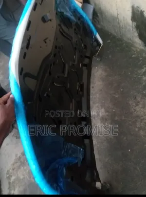 2019-2020 Ford Edge Bonnet