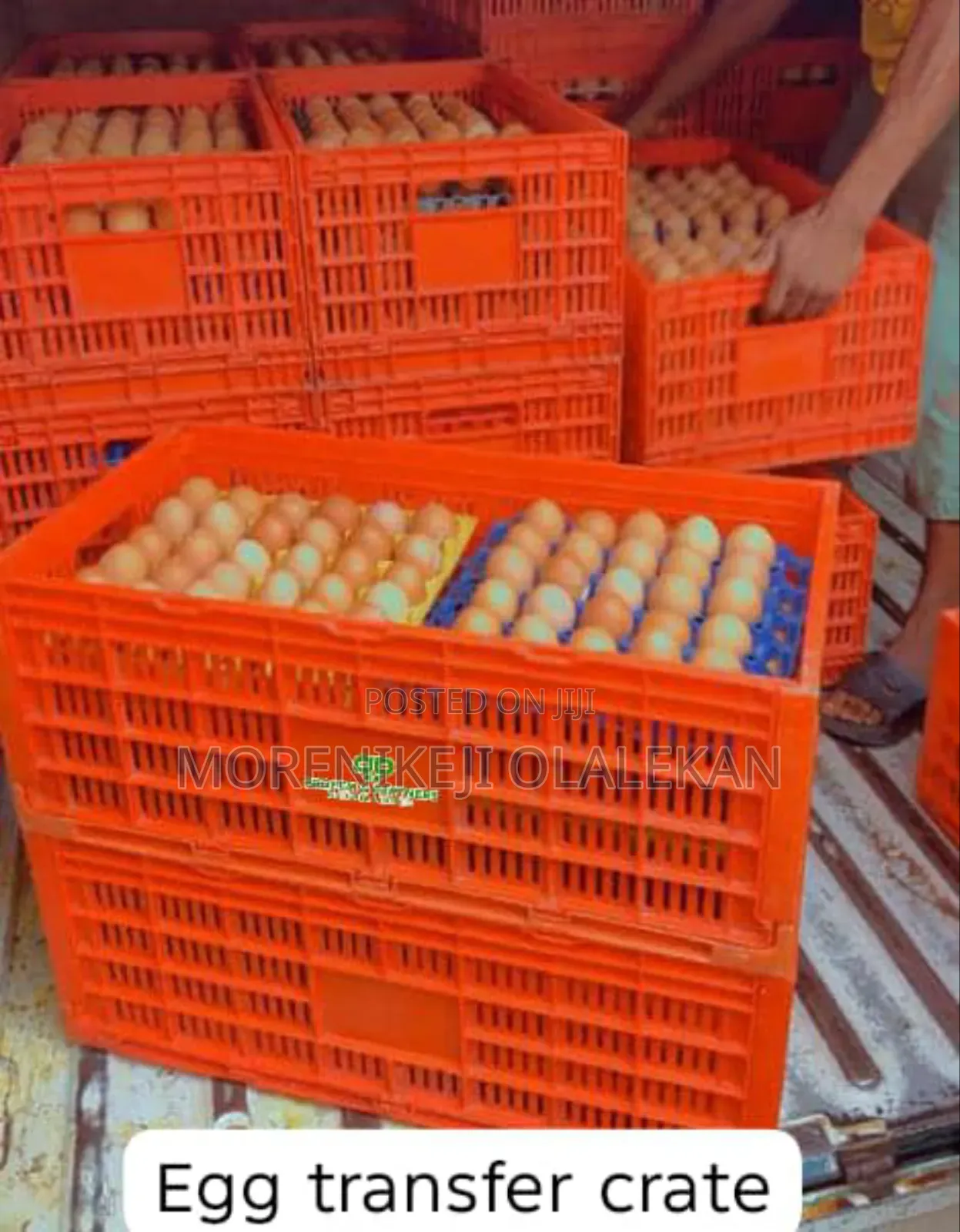 Egg Basket Collapsible